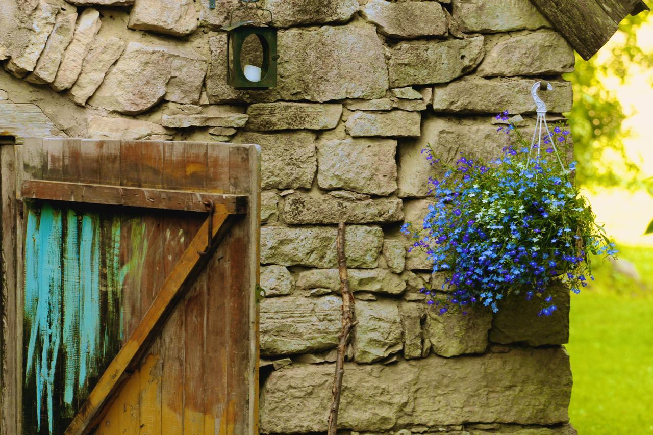 Metsara B & B Tornimae Екстериор снимка
