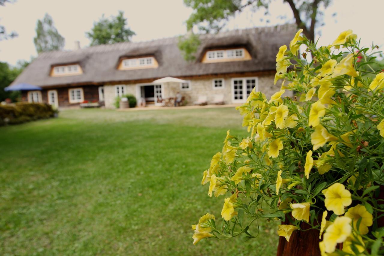 Metsara B & B Tornimae Екстериор снимка