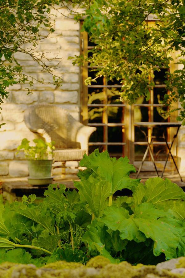 Metsara B & B Tornimae Екстериор снимка